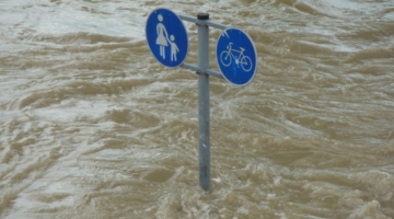 Lad os lære af udlandet og stormflodssikre nu